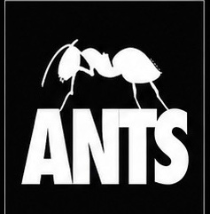 ANTS